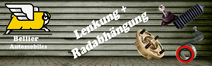 Lenkung & Radaufhängung